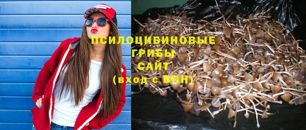амфетамин Богородицк