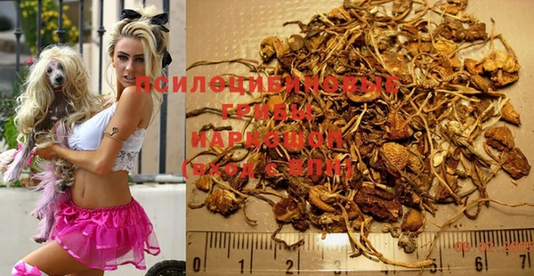 амфетамин Богородицк