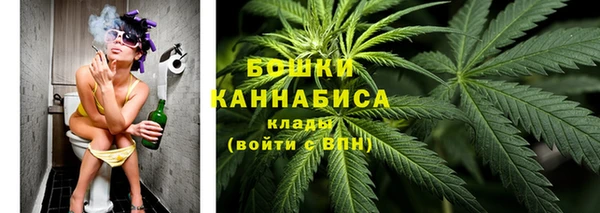 СК Богородск