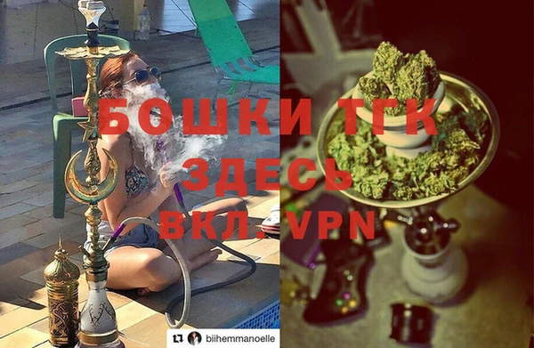 СК Богородск