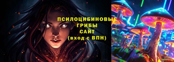 гашик Бронницы